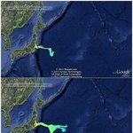 일본 방사능 <b>태평양</b>까지ㅡㅡ