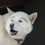 ★★★니가 정녕 사람이라면 나한테 사과해라