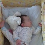 요즘 대세인 <b>조카님</b>♥