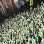 ※※투엠투펨님들께 부탁드립니다※※