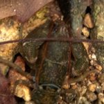 아이들에게도 아직 <b>동심</b>이 남아있었어요!!!!!