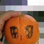 오렌지 너이자식....ㅋ