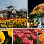 봄체험학습으로 즐거운 토요일 만들기~