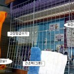 ★귀여운 토끼에 대한 육아상식!!!!★