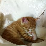 소심한 <b>아들자랑</b>!!