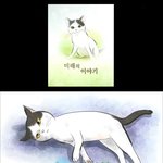 뇌성마비 길냥이 '<b>미래</b>'의 이야기 [1화]