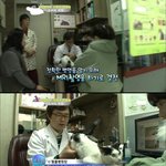 뇌성마비 길냥이 '<b>미래</b>'의 이야기 [4화][完]
