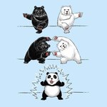 <b>팬더</b>의 비밀