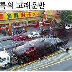 스케일이 다른 <b>대륙</b> 시리즈.jpg