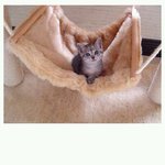 시간이 <b>흐름</b>에따라