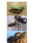 <b>물속</b> 최강자