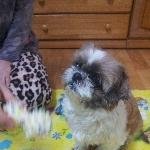 ★★날 무시하는 우리집 3인자 밥순이를 소개합니다★★