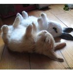 다이어트되는 <b>수면</b>자세