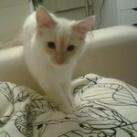 우리집 망나니ㅋㅋㅋㅋㅋㅋ