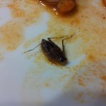 <b>블렉</b>데이짜장면시켰는데벌레가..
