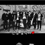 또수정) ♥♥♥♥블락비 1주년 편지♥♥♥♥