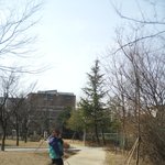 ★☆★개판★포메판★사진有★우리집막내를 소개합니다!☆★☆