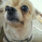 헐 대박