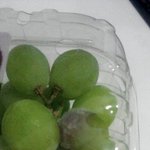 ★☆어제 <b>k</b>대형마트에서산 <b>씨</b>없는청포도에서 곰팡이가☆★