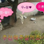 기요미 <b>몽이</b>3마리♥