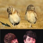 ★★ 존잘엑소가 <b>올린</b>글 보지마요 ★★