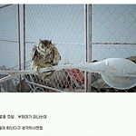 빅뱅 판타스틱베이비 뮤비해석 !! (살짝소름)