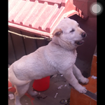 사진有))<b>창원시</b> 사시는분꼭봐주세요!!!