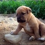 ★★★<b>cc</b>에 같은 동아리였던 그사람 이제...어쩌죠?★★★