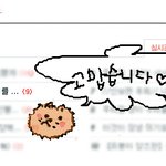 (2탄!!!)★☆★개판★<b>포</b><b>메</b>판★사진有★우리집막내를 소개합니다!☆★☆