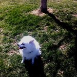 ✿강아지네마리 토끼한마리✿ 3 김만식씨아닙니다