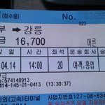 오랜만에 남자 홀로 떠난 벚꽃여행기 !!!