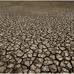 점점 건조해져서 요즘 <b>천연</b>으로 사용하고 있어요