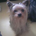 대구 사시는 분들 도와주세요 ㅠㅜ