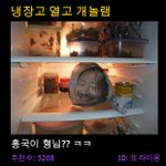 냉장고 열어보니 !!! 웃<b>사임</b>