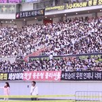 뷰티들드<b>콘</b><b>팬</b>석 ㅠㅠㅠㅠㅠㅠ
