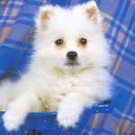 이해하면 무섭고도 슬픈 이야기 시즌3★ (5편)