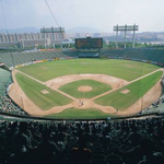 야구 좋아하시는분들 ~ 이런캐치볼 해보셨나요? ㅋㅋ