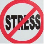 스트레스에 대해서...