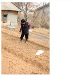 <b>시골</b>의 흔한 강아지 ㅋㅋㅋ