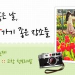 4월 꽃길따라 떠나는 봄 출사 장소 :)