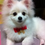 [[[[1탄 세종<b>대왕</b>의 한글사랑]]]]