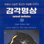 <b>ufo</b> 타고 다니는 외계인도 명상을 한다네요...
