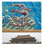 ^<b>투명</b>인간류 甲^