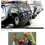 ^<b>대륙</b>의 흔한 직업들^