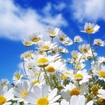 사랑하는 사람은 언젠가 또 만난다