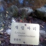 개.쉽.싸.리