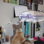 어금니 깨물고,, <b>가드</b> 올리라이~~