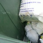 ★★사진有고양이를 버리는 <b>할아버님</b>(수정+)★★