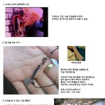 아이돌 가수, 팬 <b>수준</b> 甲