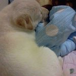 유기묘 <b>입양</b>및 고양이&amp;<b>입양</b>관련 질문입니다